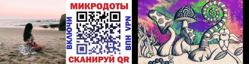 где найти Макарьев Псилоцибиновые грибы Cubensis